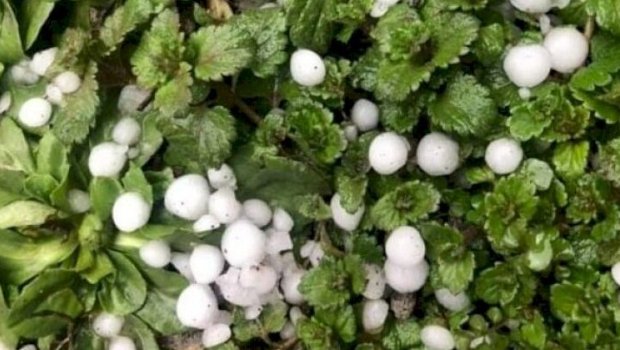 FAKTİKİ HAVA: Şəki, Tərtər və Daşkəsənə dolu düşüb