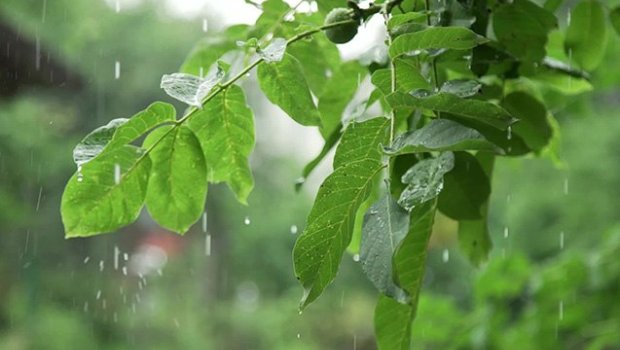 FAKTİKİ HAVA: Bu ərazilərə yağış yağıb