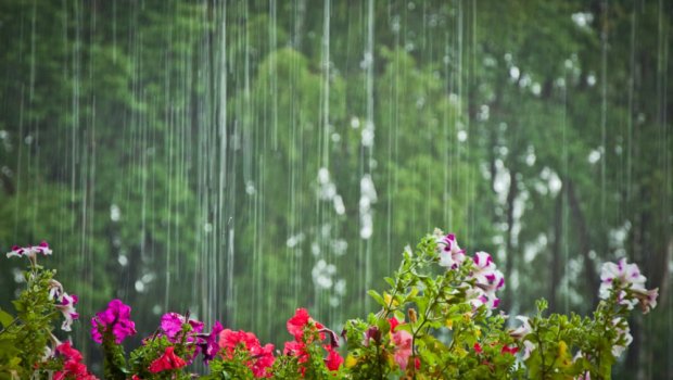 SABAHIN HAVASI: Yağış yağacaq