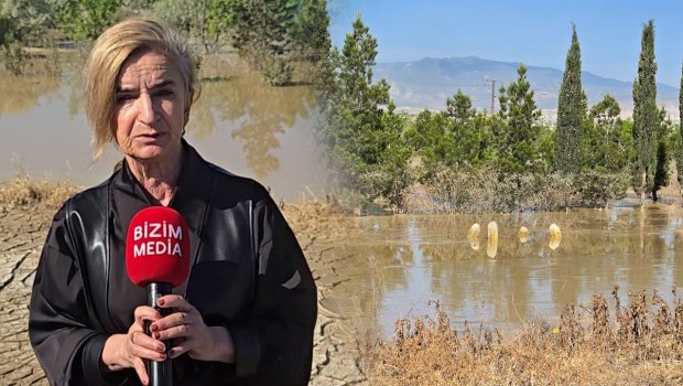 Bakı-Quba yolunun kənarındakı ağaclar bir aya yaxındır SU ALTINDADIR &ndash; VİDEO