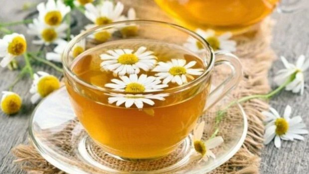 Hər gün bir fincan İÇİN - Çobanyastığı çayının faydaları