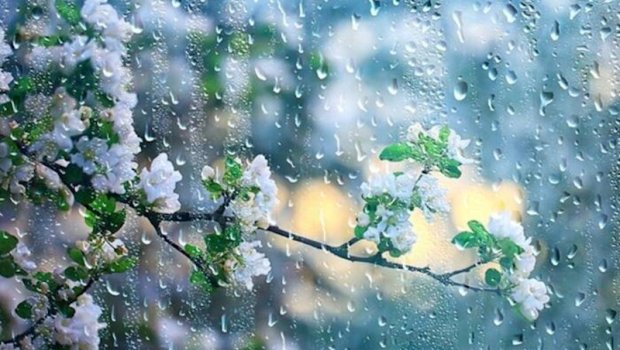 Günün havası: Leysan yağış, dolu yağacaq