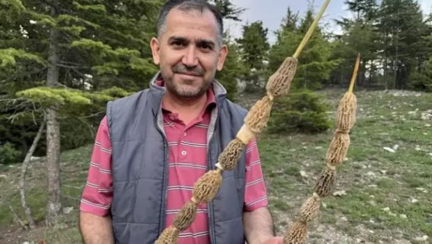 Kilosu 40 manata satılır - Bütün kənd bura axın edir