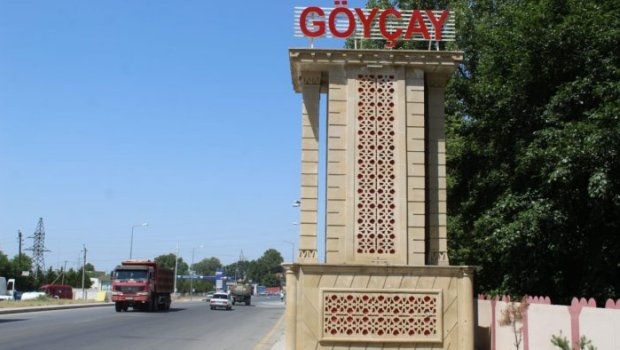 Göyçayda FACİƏ &ndash; 63 yaşlı şəxs meyvə ağacından yıxılaraq HƏYATINI İTİRİB