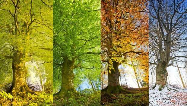 Hava ilə bağlı yeni xəbərdarlıq &ndash; Oktyabrın 15-nə qədər&hellip;