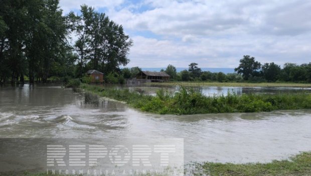 Zaqatalada 200 hektaradək ərazi su altında qalıb
