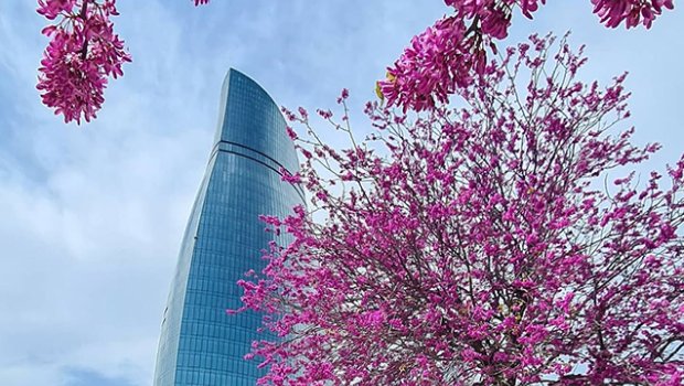 Həftənin ilk gününün hava PROQNOZU