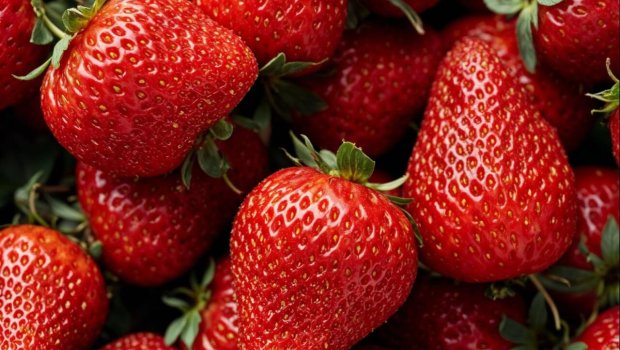 Bu şəxslər çiyələk yeməməlidir - SƏBƏB