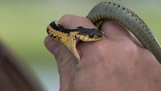 Biləsuvar sakinini beşinci dəfə İLAN SANCDI