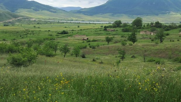 Ağdamda 37 min 154 hektar ərazi minalardan təmizlənib &ndash; FOTO