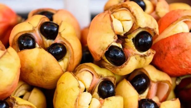 Damarları genişləndirir, qan axınını yaxşılaşdırır