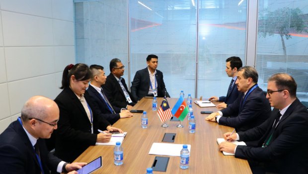 Korrupsiyaya qarşı mübarizə sahəsində beynəlxalq əməkdaşlıq genişləndirilir - FOTO