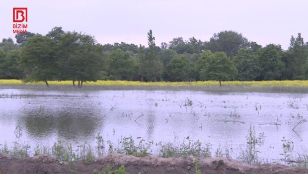 Yağış bitsə də, fəsadları davam edir... &ndash; Zaqataladan REPORTAJ -FOTO/VİDEO