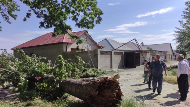 Güclü külək ağacı yaşayış evinin üstünə aşırdı &ndash; FOTO