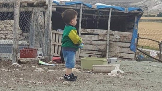 Ağcaqanad 1 yaşlı uşağın həyatını məhv etdi - 6 ildir yataq xəstəsidir - FOTO