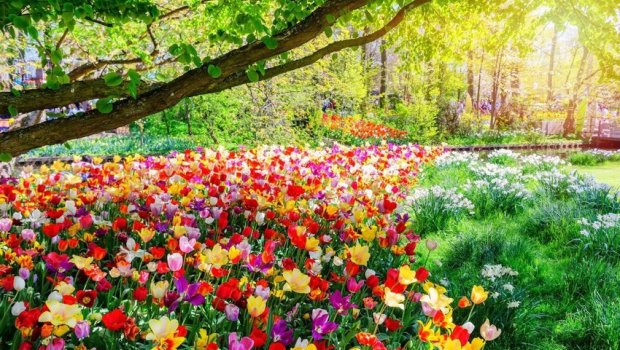 İyunda hava necə olacaq? &ndash; PROQNOZ