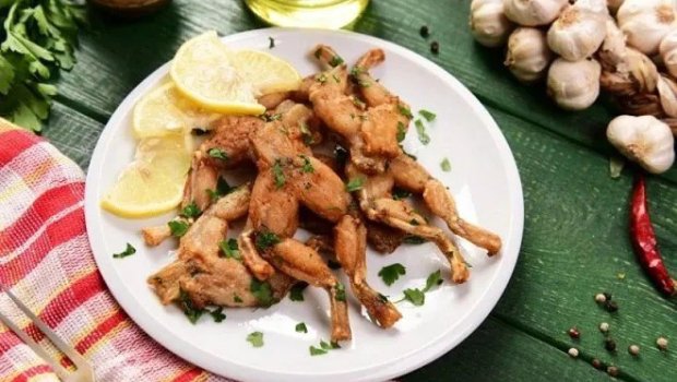 Qurbağa əti ilə bağlı yayılan məlumatlarla əlaqədar rəsmi qurumdan AÇIQLAMA