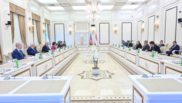 Azərbaycan və Misir arasında parlamentlərarası münasibətlər müzakirə edildi - FOTO