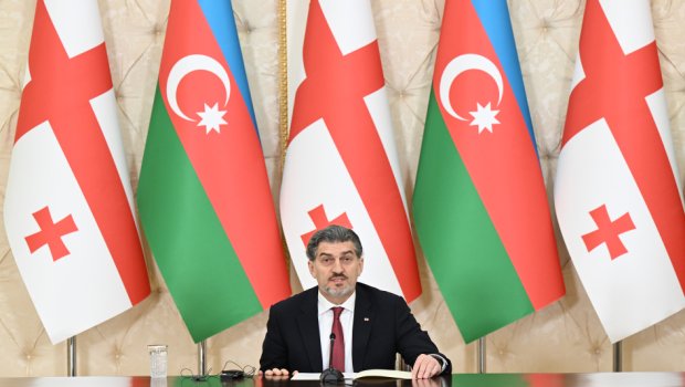 “Azərbaycan beynəlxalq aləmdə nüfuzlu rola malik ölkə olmaq üçün xeyli çətinliklərin öhdəsindən gəlib”