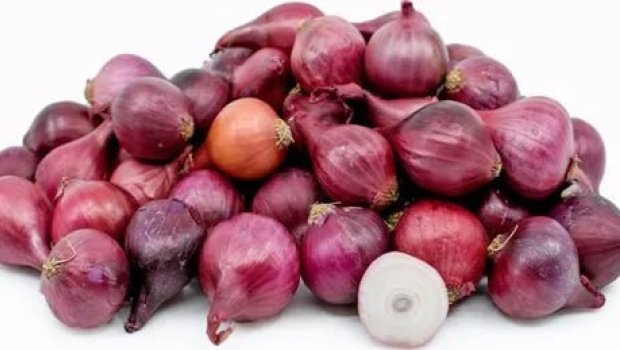 Soğanı göz yaşı tökmədən doğramağın elmi sirri açıldı