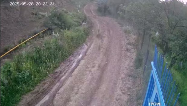 Ordubadda canavar sürüsü kəndə hücum etdi &ndash; ANBAAN VİDEO