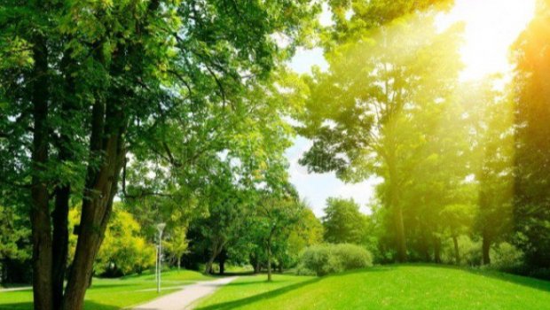 İyunun ilk gününün HAVASI: 36 dərəcə isti...