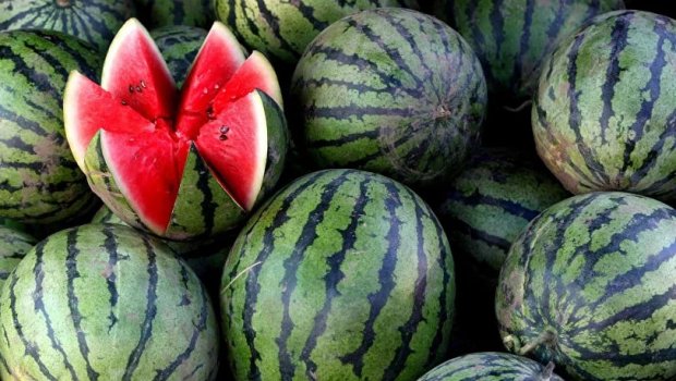 Qarpız seçərkən fikir verin: Belə səs çıxırsa...