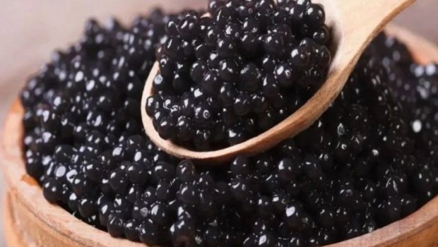 Kürü istehsalında rekord artım: Hədəf illik 40 tondur