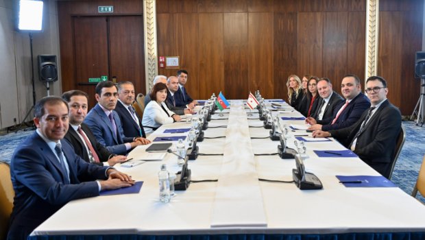Şimali Kipr Türk Cümhuriyyəti Məclisinin sədri Azərbaycana təşəkkür etdi - FOTO