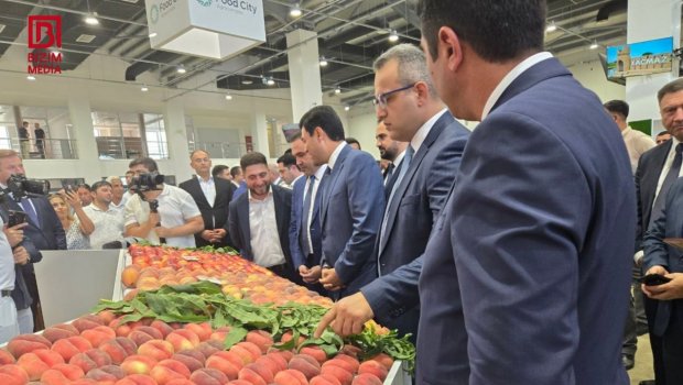 Xaçmazda ilk şaftalı festivalı – 18 növ məhsul TƏQDİM olunub - FOTO / VİDEO