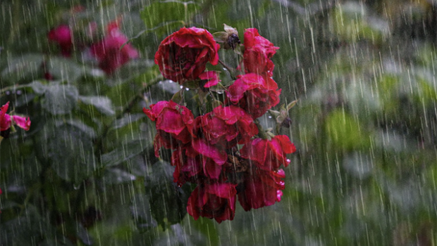 Hava kəskin DƏYİŞİR – Temperatur enəcək, yağış yağacaq