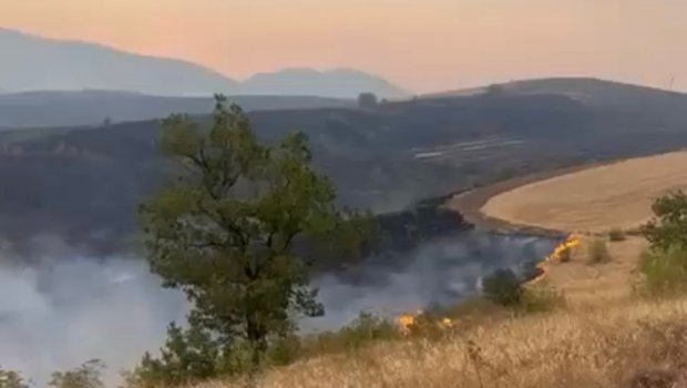Zəngilanda yanğın törədən şəxs SAXLANILDI – FOTO
