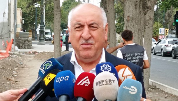 Gəncədə qurumuş ağaclar nömrələnir - Fotolar