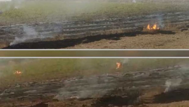 Cəlilabadda yanğın törədənlər məsuliyyətə cəlb OLUNDU