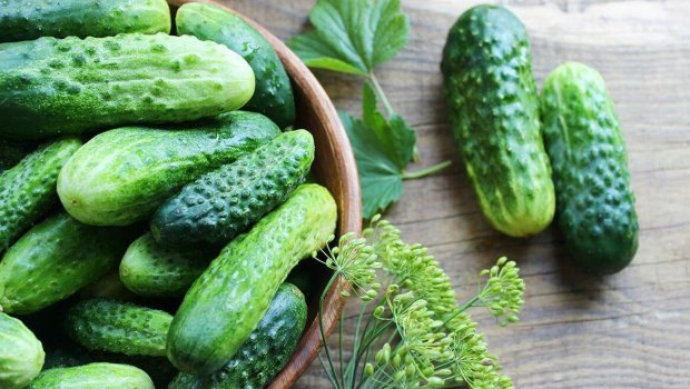 Xiyarın acı dadının səbəbi nədir?