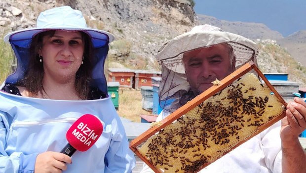 Min bir dərdin DƏRMANI – Kəlbəcər balını digərlərindən necə ayırd etmək OLAR? – VİDEOREPORTAJ