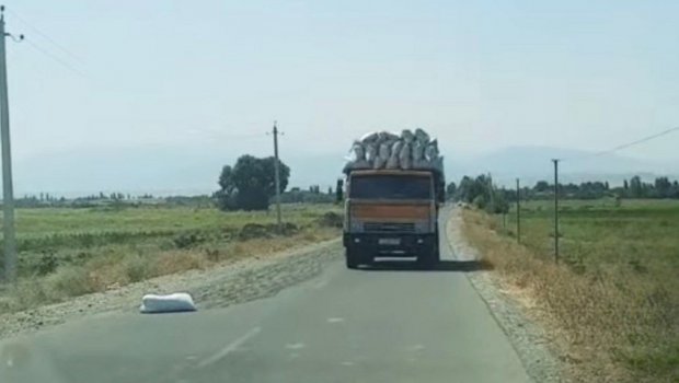 Yola günəbaxan tumları yığdı, məsuliyyətə cəlb edildi - FOTO