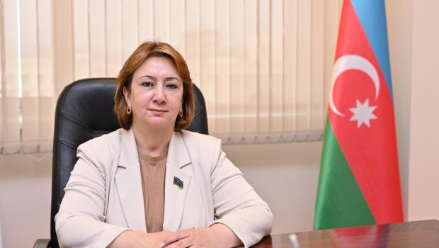 Magistratura təhsili bu şəxslər üçün zəruridir – Deputatdan gənclərə TÖVSİYƏ