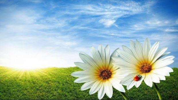 Sabah 39 dərəcə isti olacaq – PROQNOZ