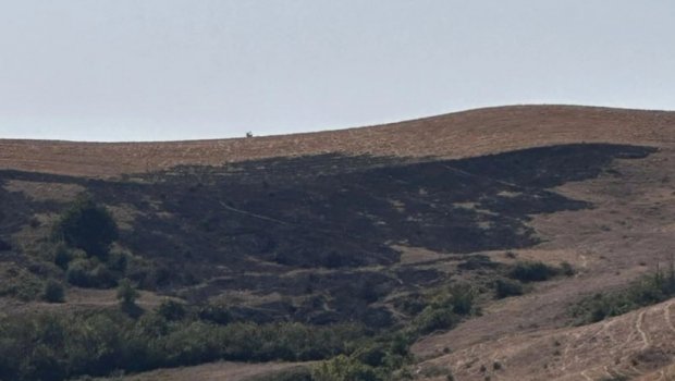 Məlhəmdə yanğın törədən şəxs SAXLANILDI