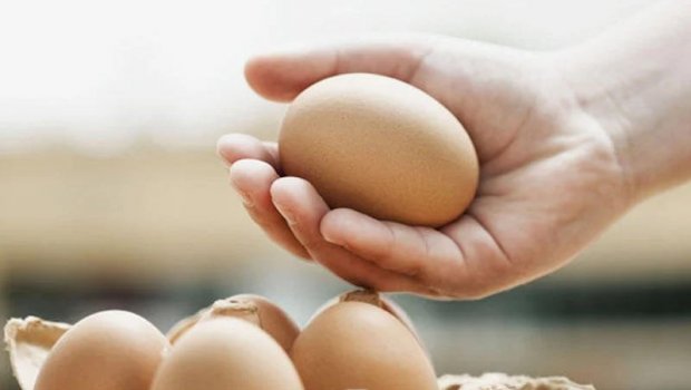 Yumurtanın təzə olduğunu bu cür bilmək olar