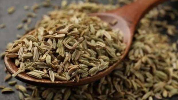 Dünyanın ən sağlam qidası bəlli oldu!