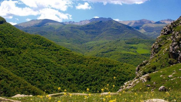 Laçın və Qubadlıda 2-ci yeni milli park yaradılacaq