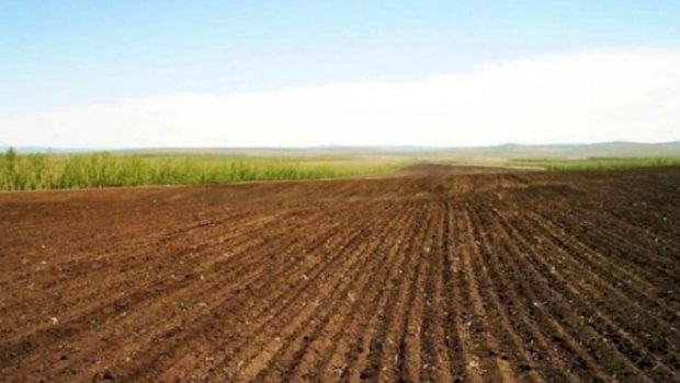 Bakıda torpaq sahələri BAHALAŞDI