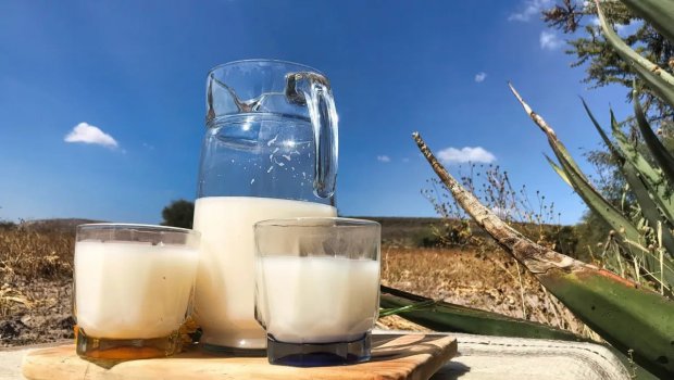 Unudulmuş möcüzəvi QİDA - İmmuniteti gücləndirir, allergiyanı azaldır - FOTO