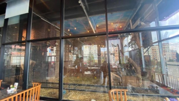 Bakıda vəhşi heyvanların qanunsuz saxlanıldığı restorana xəbərdarlıq edildi – FOTO