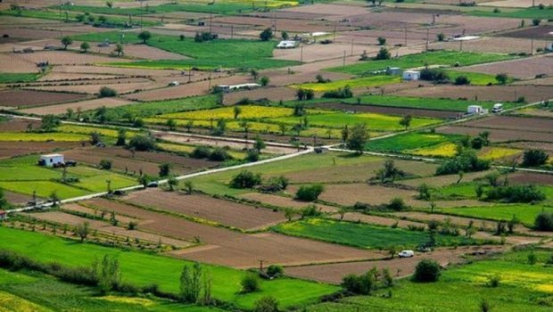 Kənd təsərrüfatı təyinatlı torpaqlarla bağlı YENİLİK – Tikinti qaydaları DƏYİŞDİ