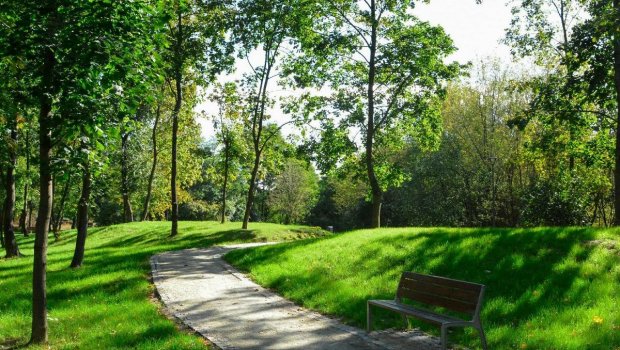 Parkdan meyit tapıldı