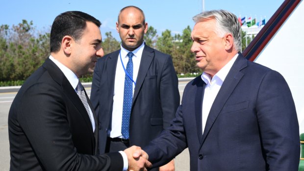 Orban Qəbələdədir – FOTO