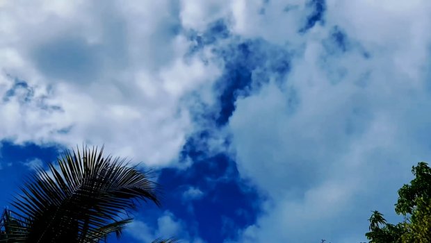 Bu ərazilərdə külək güclənib - FAKTİKİ HAVA